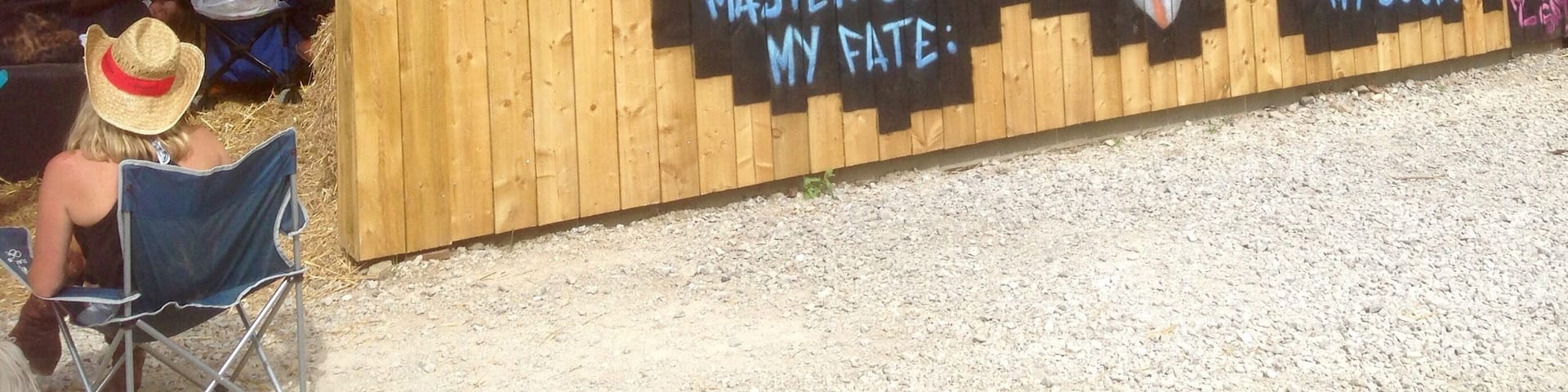 Thought you might like this ! #bumblebee