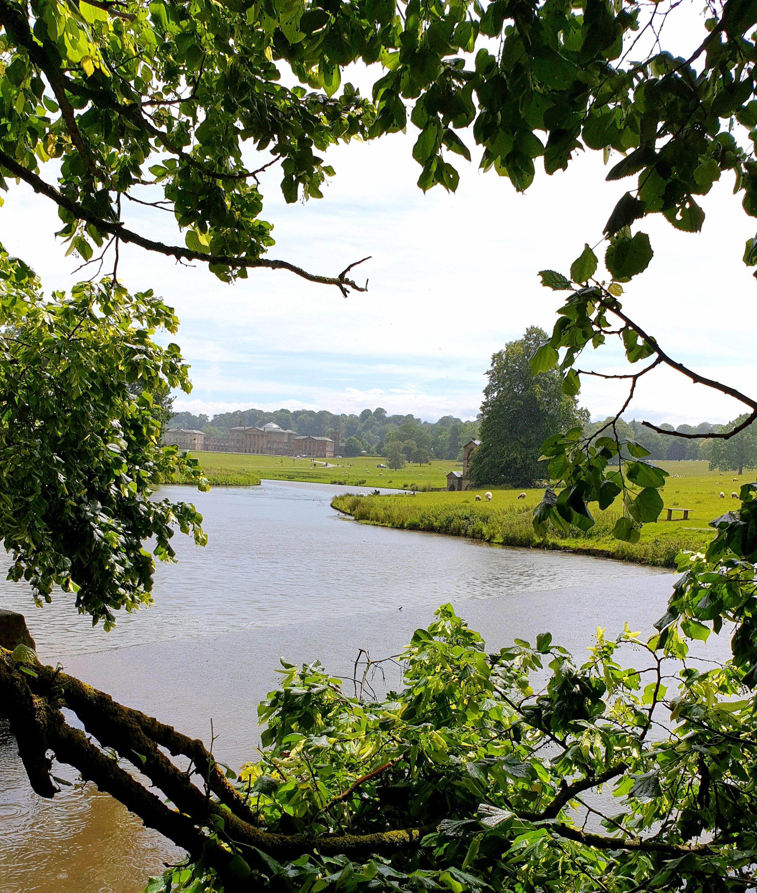 Litte circle walk along the river with some lovely views on to kedleston hall.