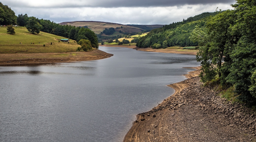 Taken from Ashopton Viaduct on the A57 Snake Pass Road, nice views back towards Fairholmes Visitor Centre from which we set off on a circular 5.5 mile walk.
This is just about halfway now and still a nice day, with views in all directions. Nice!