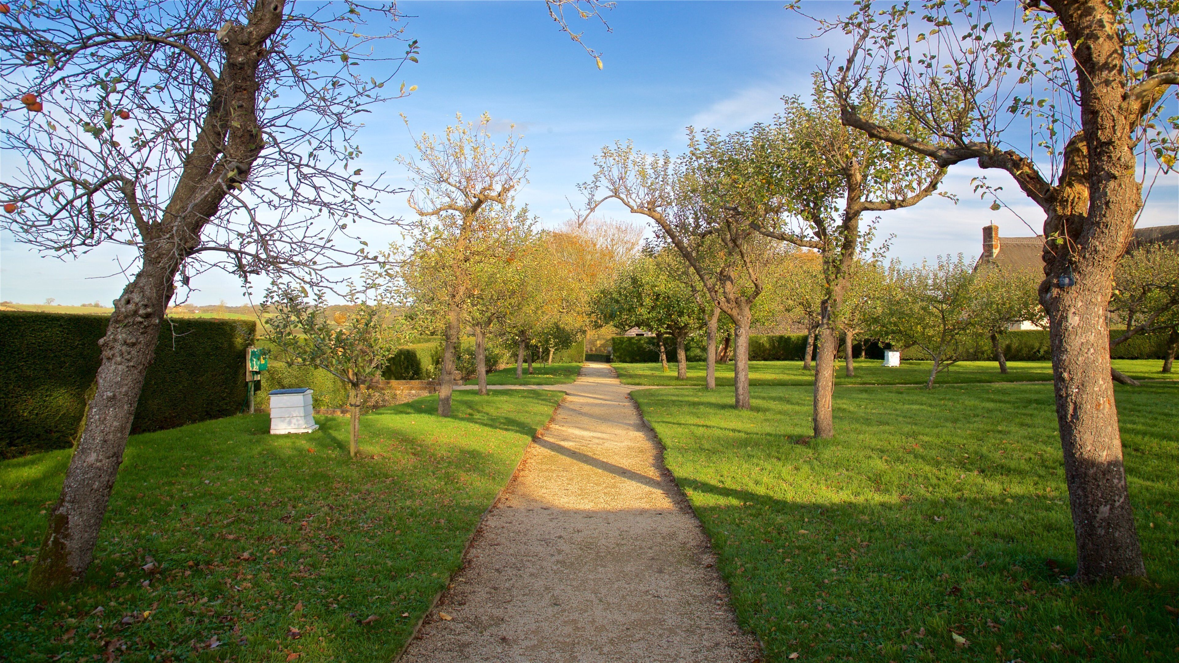 Sulgrave Manor which includes a park