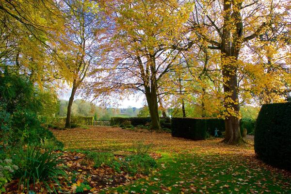 Coton Manor Gardens das einen Herbstblätter und Park