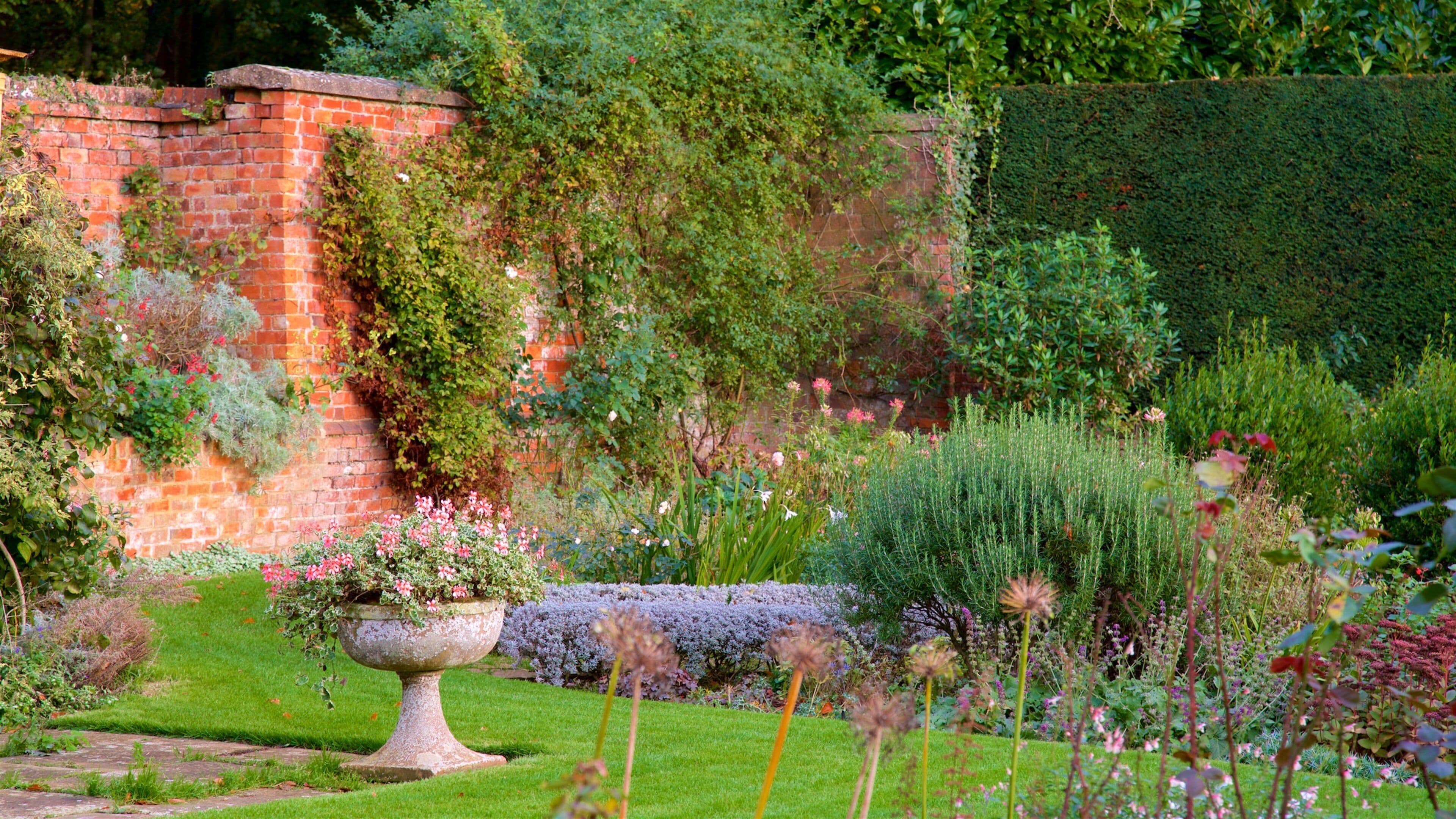 Coton Manor Gardens trong đó bao gồm hoa dại và khu vườn