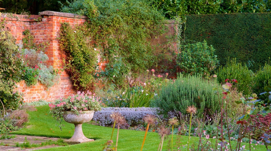 Coton Manor Gardens trong đó bao gồm hoa dại và khu vườn