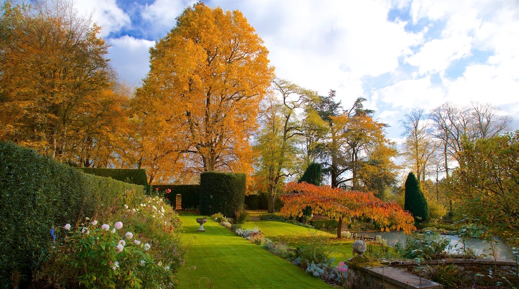 Coton Manor Gardens mostrando colores de otoño, flores salvajes y un jardín