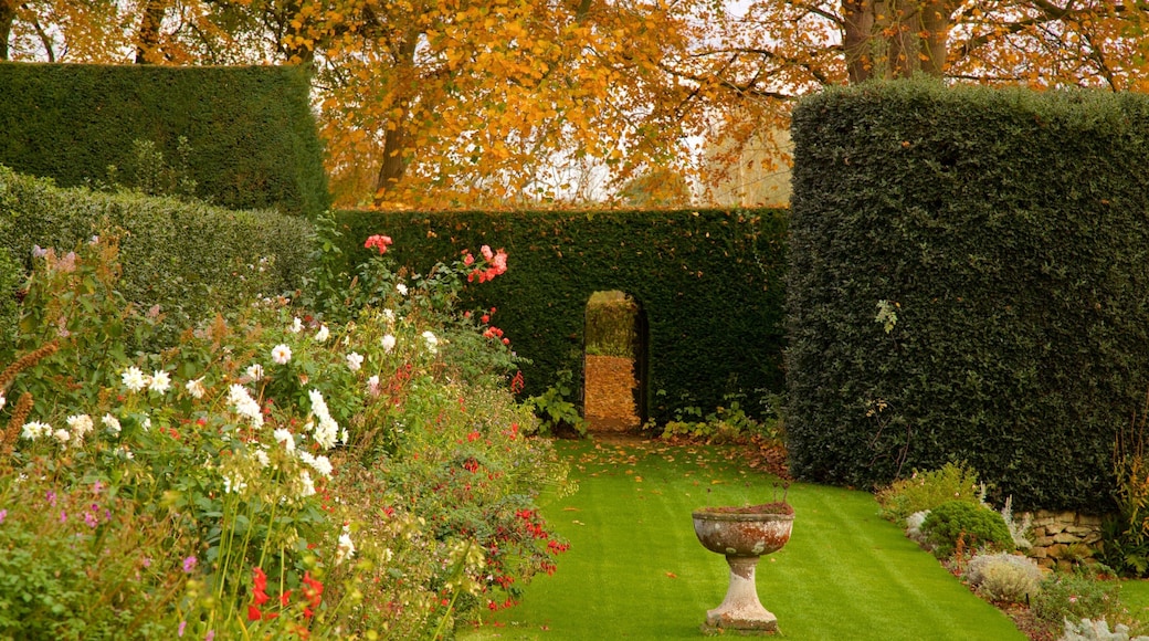 Coton Manor Gardens que incluye un jardín y flores salvajes