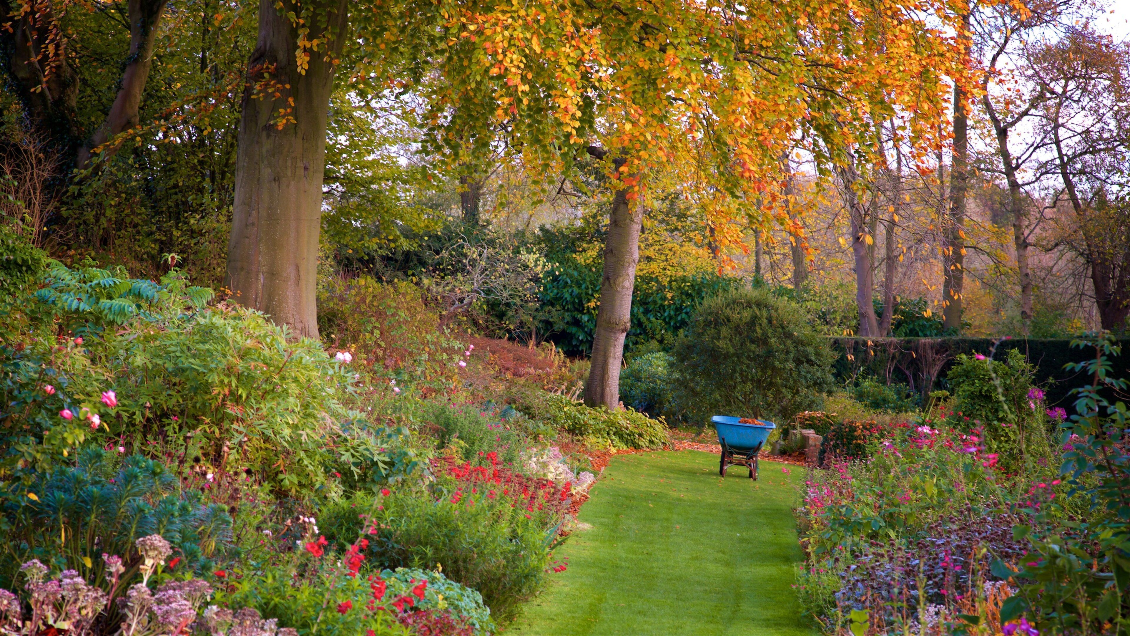 Coton Manor Gardens mit einem Wildblumen, Herbstblätter und Garten