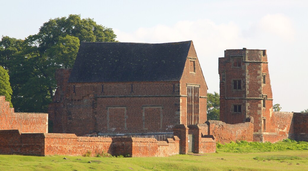 Leicester showing a castle, a ruin and heritage elements