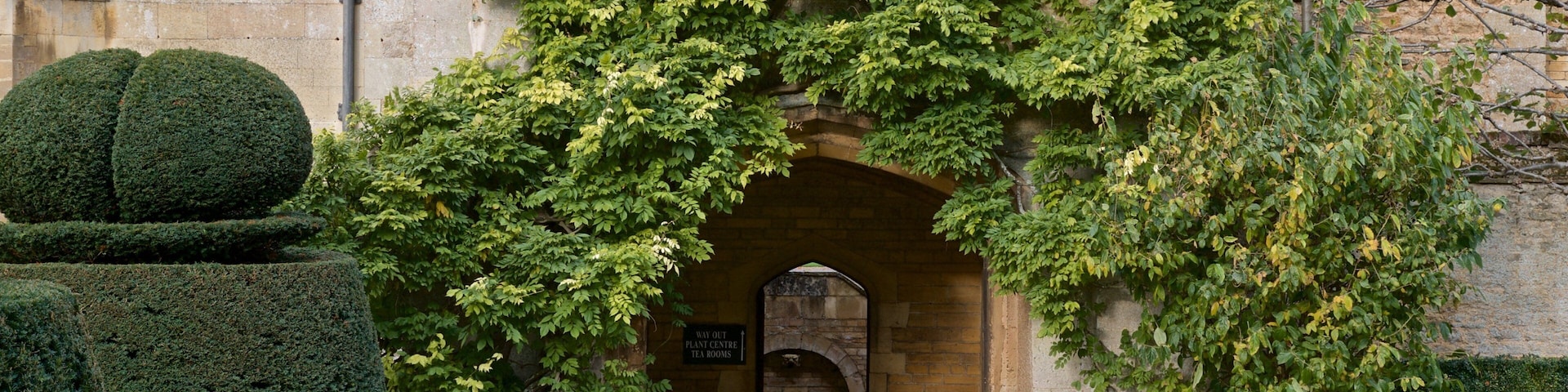 Elton Hall & Gardens showing a park
