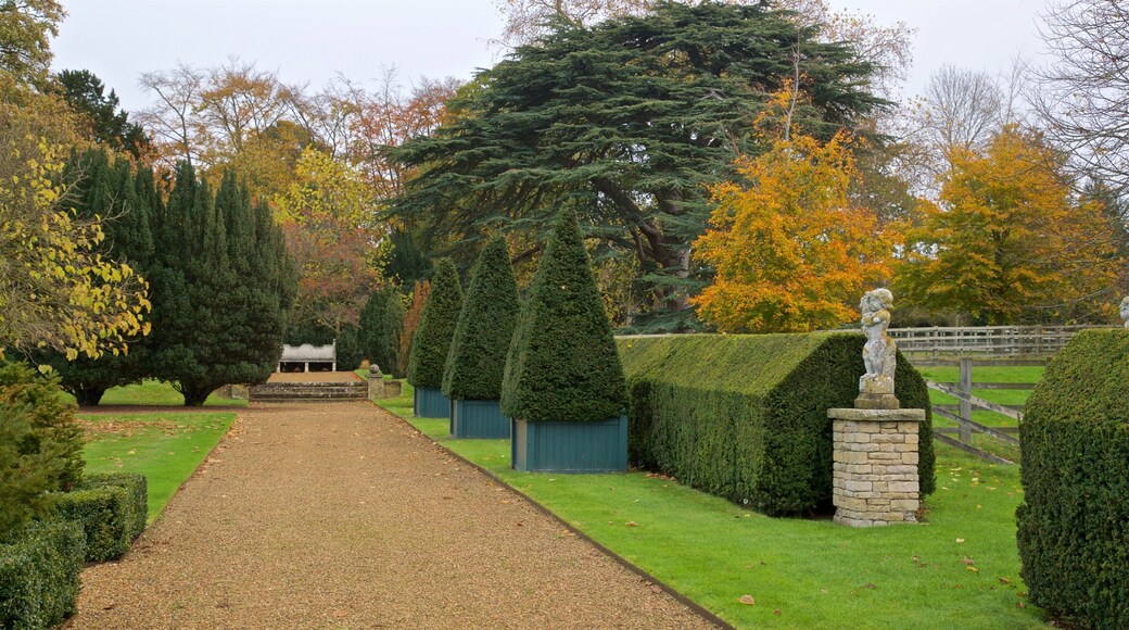 Elton Hall & Gardens featuring a park