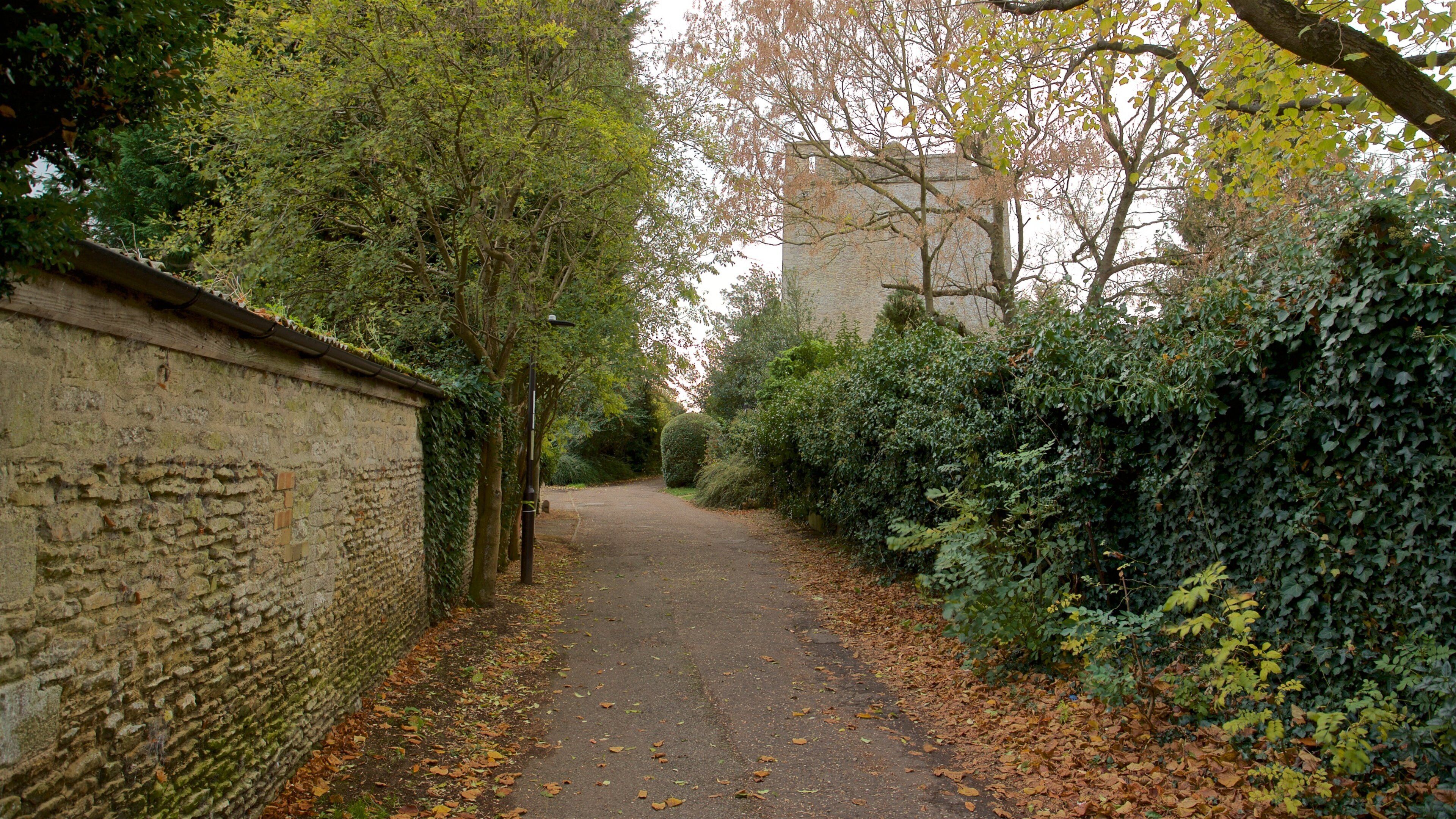 Longthorpe Tower ofreciendo un jardín
