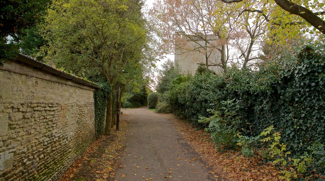 Longthorpe Tower ofreciendo un jardín