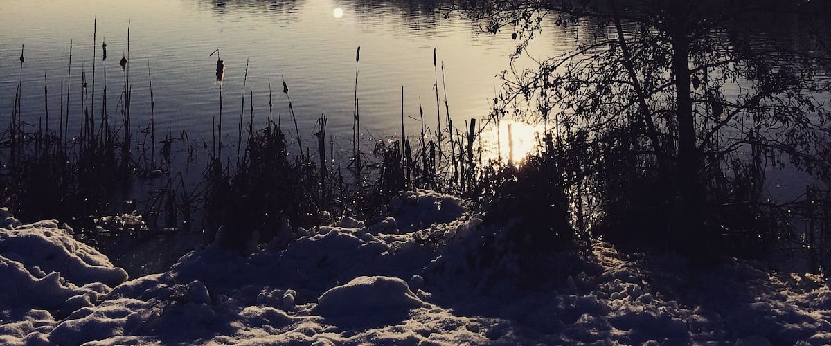 Beautiful winter walks ❄️