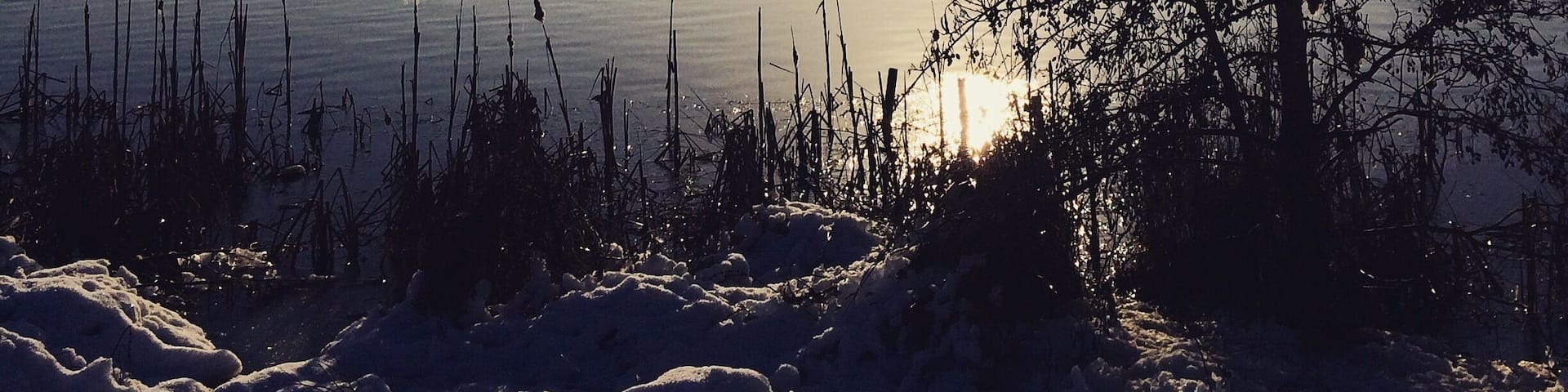 Beautiful winter walks âïž