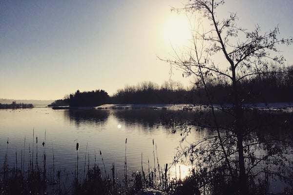 Beautiful winter walks ❄️