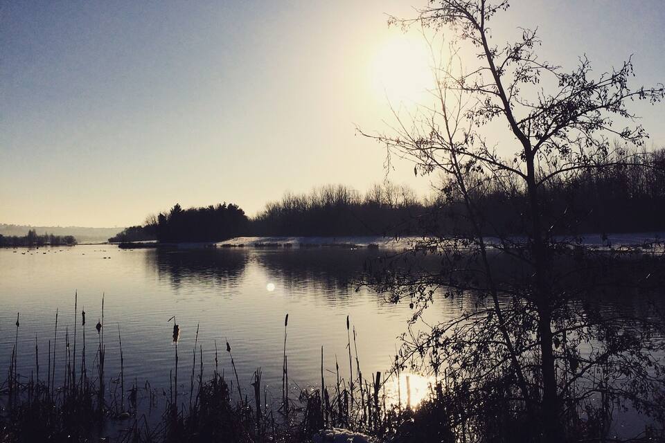 A calm lake at sunrise with snow on the ground and a bare tree in the foreground.