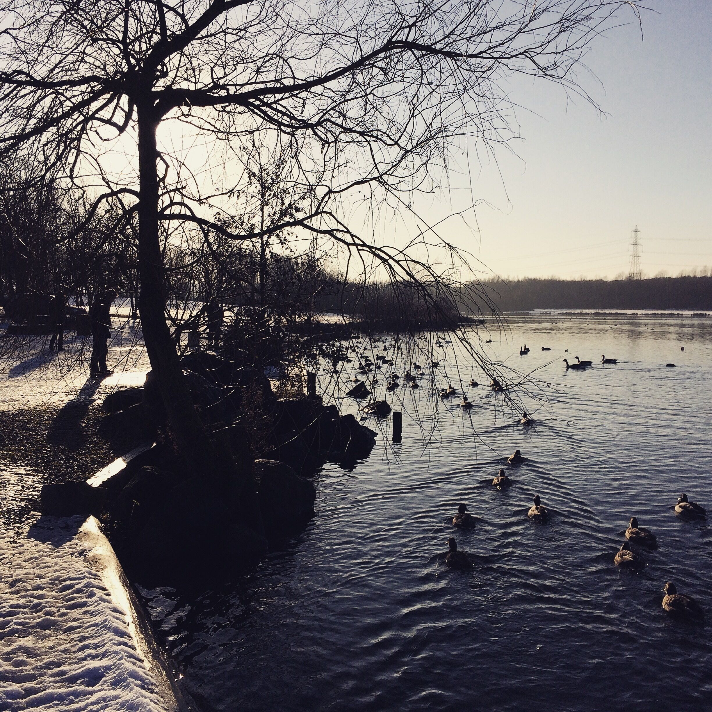 Beautiful winter walks ❄️