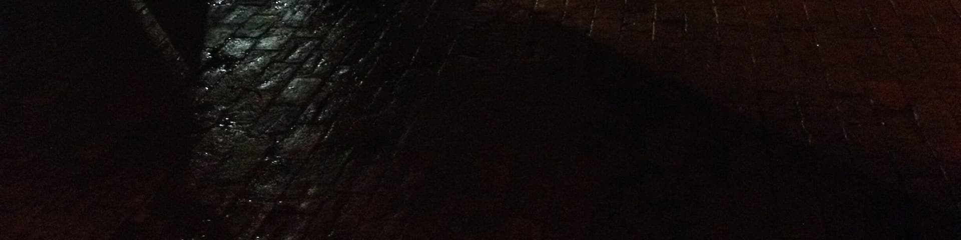 Papplewick pumping station