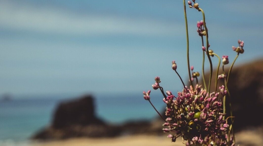 Shot from up on the cliffs around the bay.
