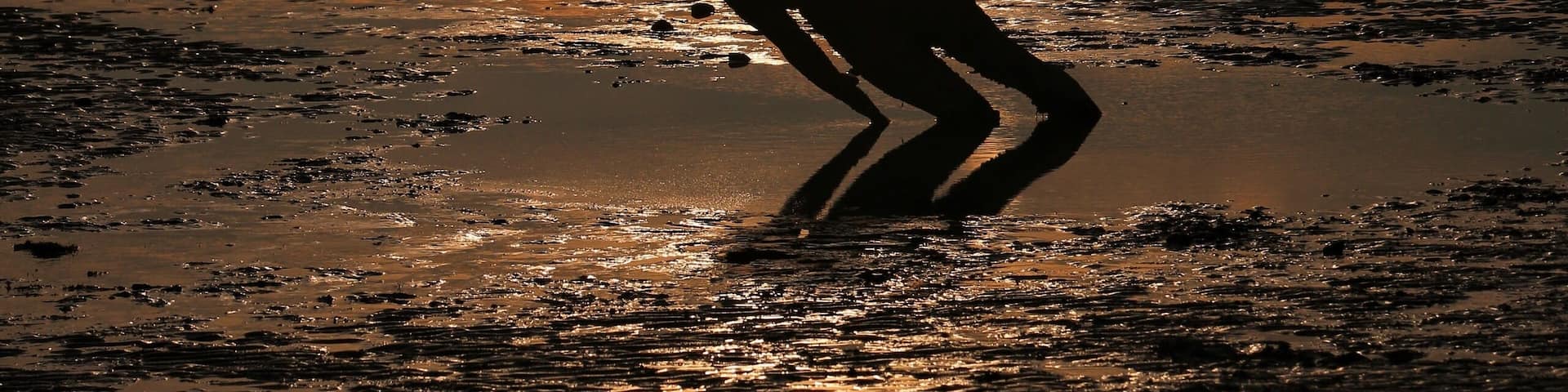 Silueta de una persona jugando en aguas poco profundas al atardecer, con aerogeneradores al fondo.