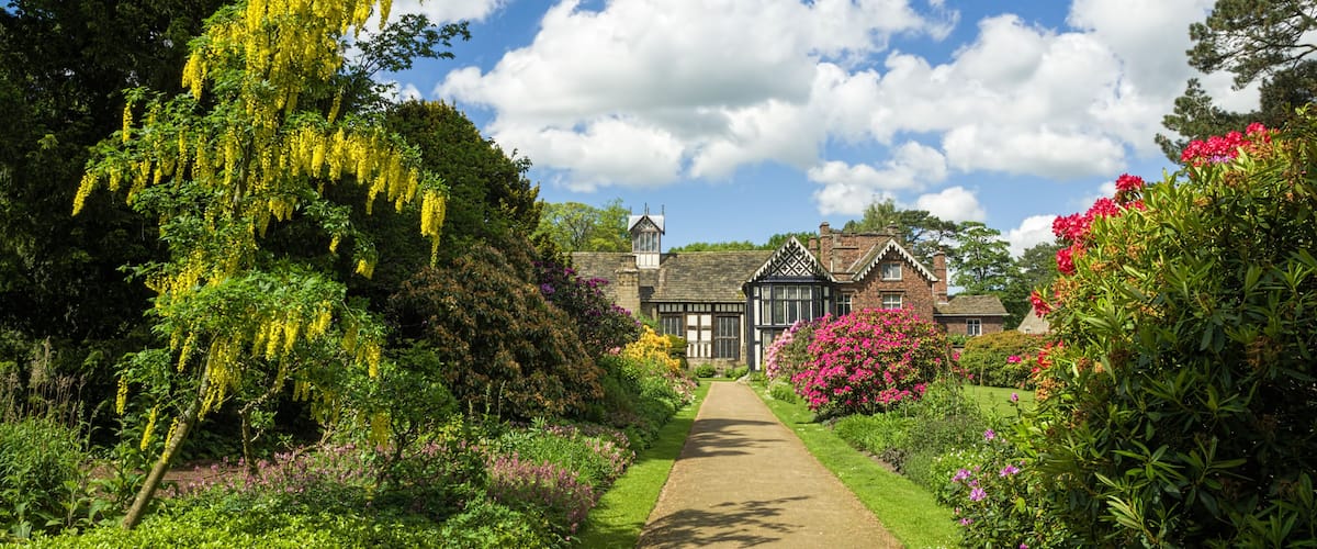 A garden pathway leading to a Tudor-style house with hanging yellow flowers and pink shrubs.