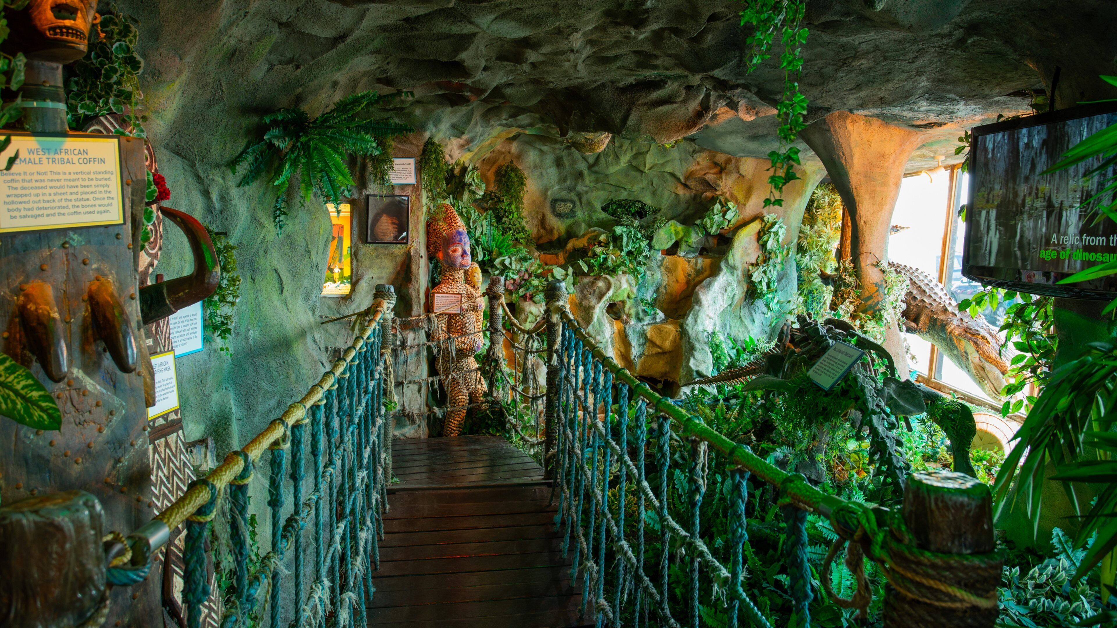 Ripley\'s Believe It Or Not! featuring interior views