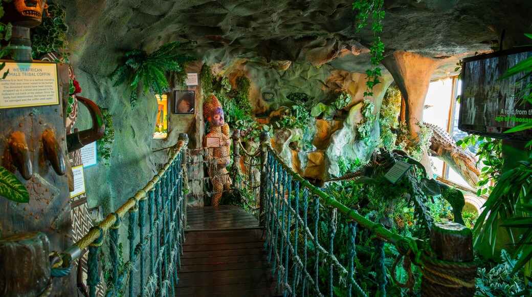 Ripley\'s Believe It Or Not! featuring interior views