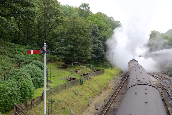 Une locomotive à vapeur circule sur des rails, entourée d’une végétation luxuriante et bordée d’une clôture en bois.