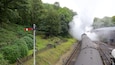 A steam train on tracks surrounded by lush greenery and a wooden fence.