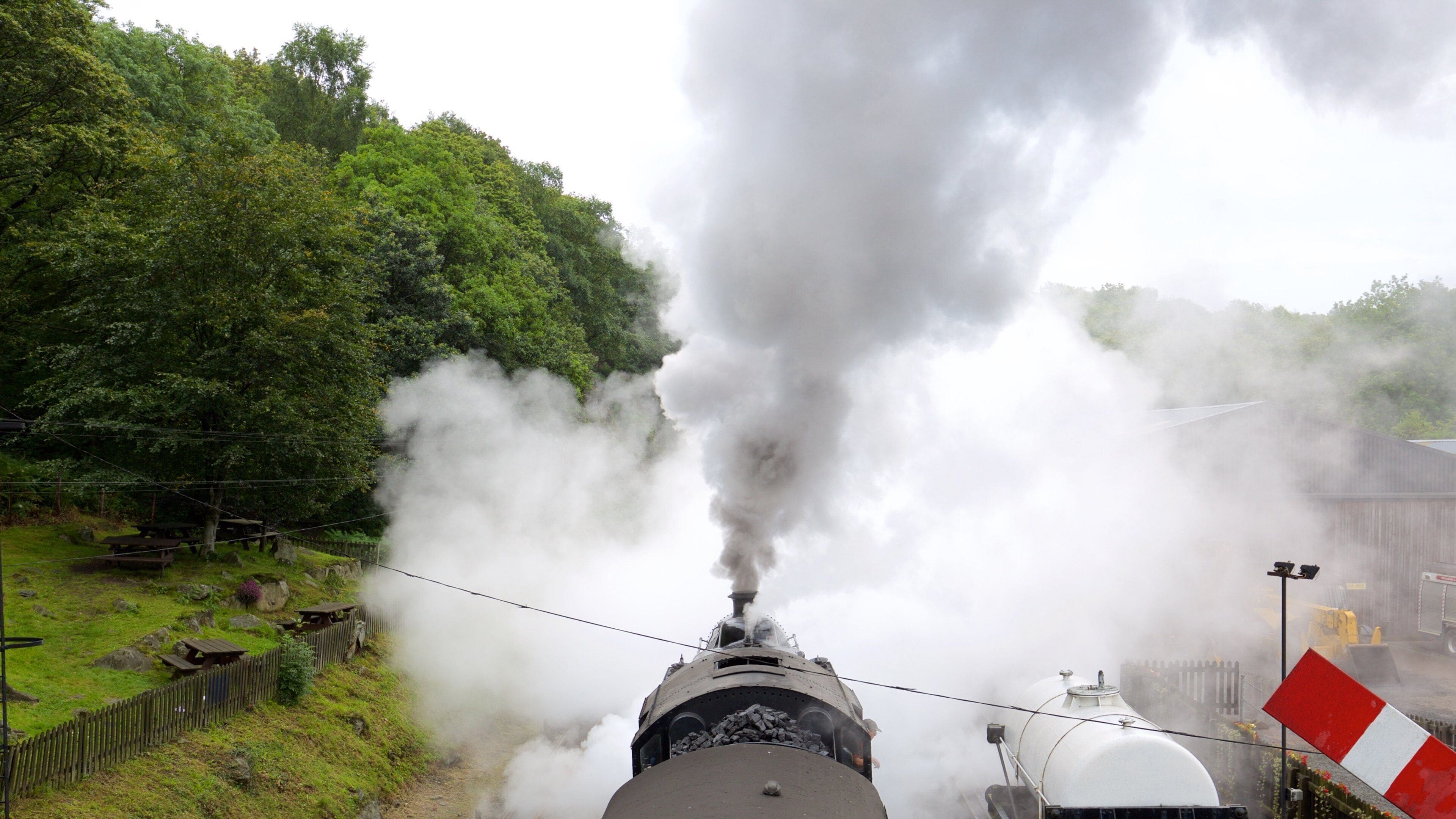 A steam locomotive emitting thick smoke, surrounded by lush greenery and a wooden fence.