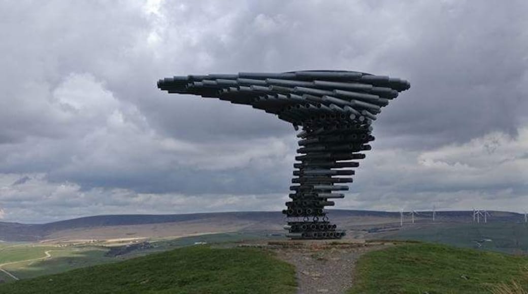 Singing Ringing Tree