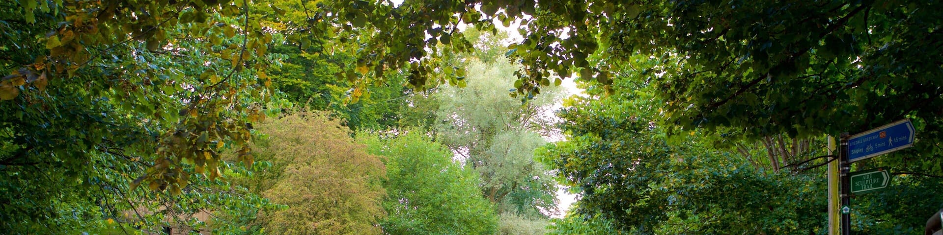 Salts Mill mit einem Fluss oder Bach, Fahrradfahren und niedliche oder freundliche Tiere