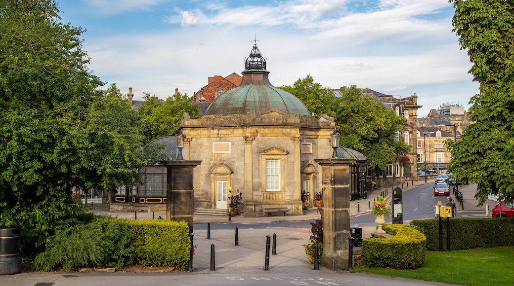 Royal Pump Room Museum