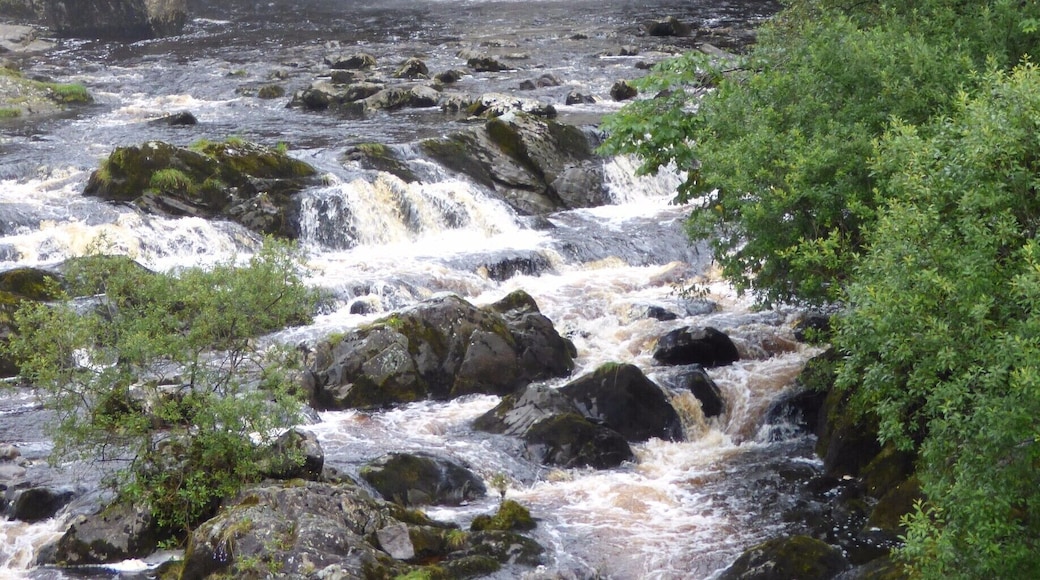 A 4 mile trail of waterfalls. There are 6 to look out for on the route round. This is Thornton Force, which you can actually walk behind. Look out for money trees and mushroom sculptures. There are refreshment stops on the way.