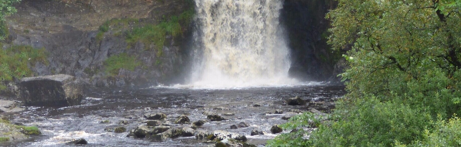 Una cascada que cae sobre rocas en un área boscosa.
