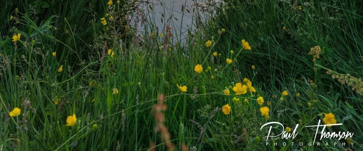 Great place for sunset shots and wildlife. Also water sports too. Plenty of parking and a cafe on site .
#hiking