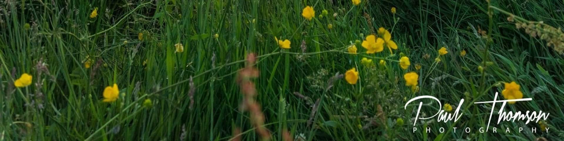 Great place for sunset shots and wildlife. Also water sports too. Plenty of parking and a cafe on site .
#hiking