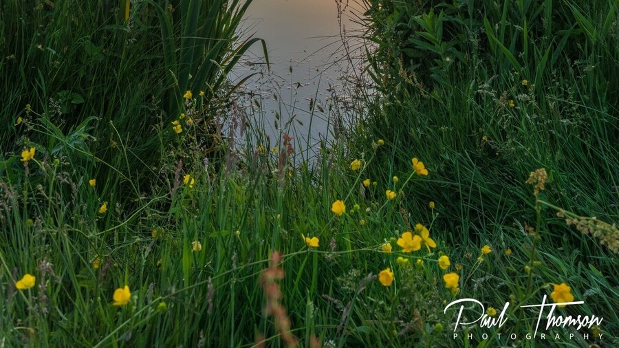 Great place for sunset shots and wildlife. Also water sports too. Plenty of parking and a cafe on site .
#hiking