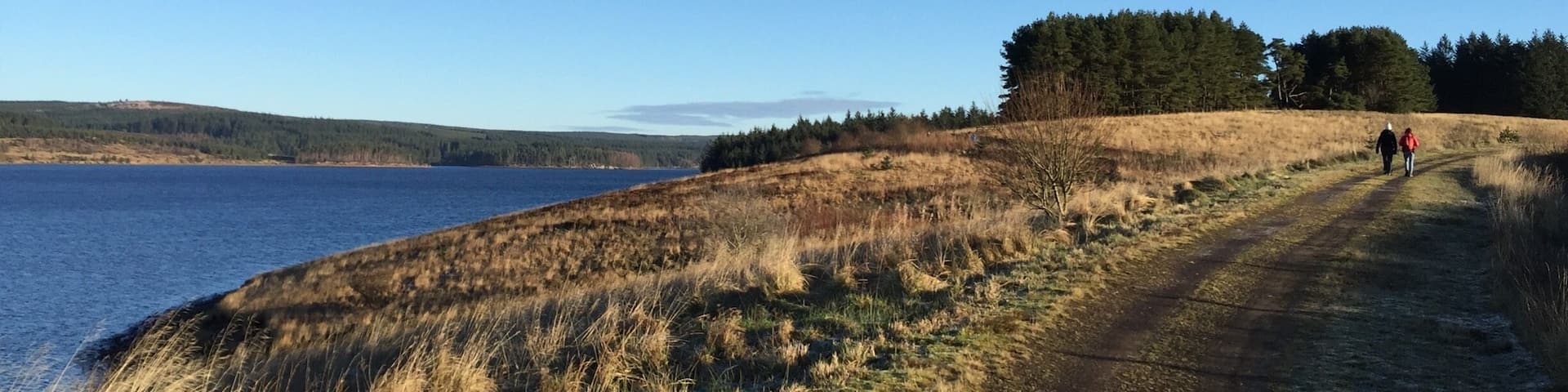 A dirt path alongside a lake with a forested hill in the background.