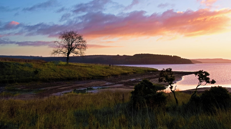 Sunny autumn morning in a wonderful setting.