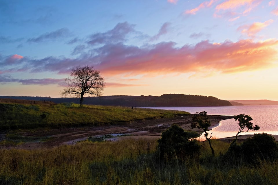 A sunset over a lake with a lone tree in the foreground and a forested hill in the background.