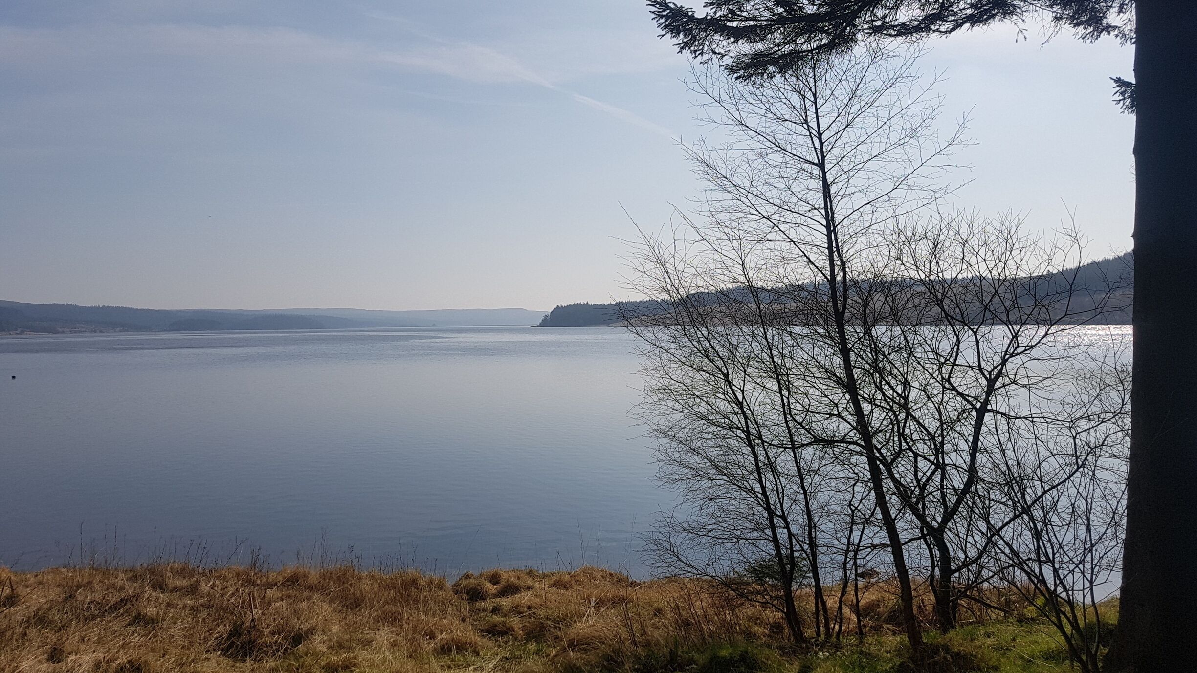 Gorgeous early morning 17miler around Kielder #takeahike