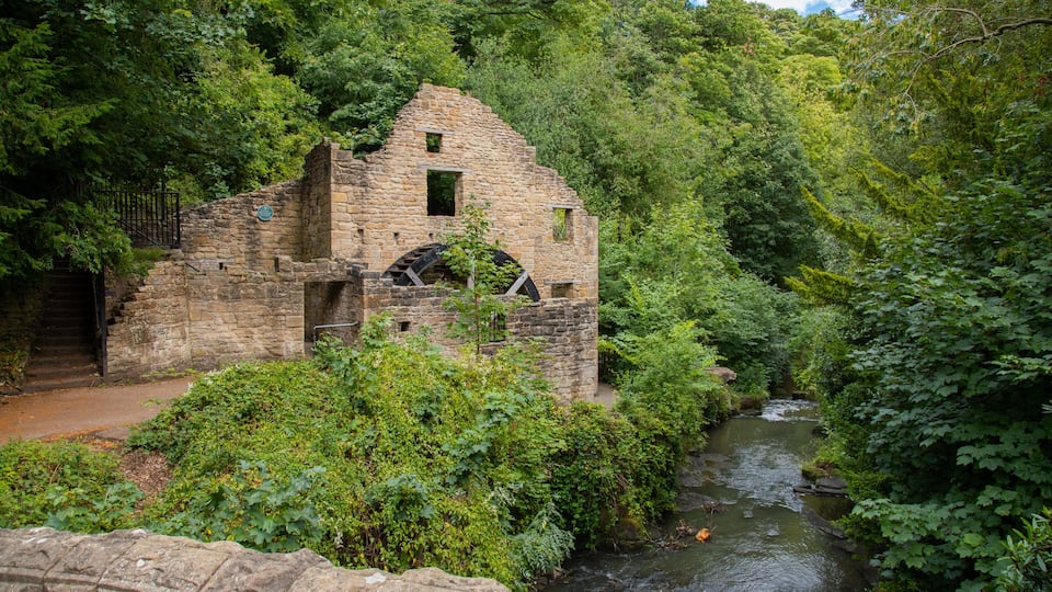 Jesmond Dene Park showing heritage elements, a river or creek and building ruins
