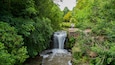 Jesmond Dene Park showing a river or creek