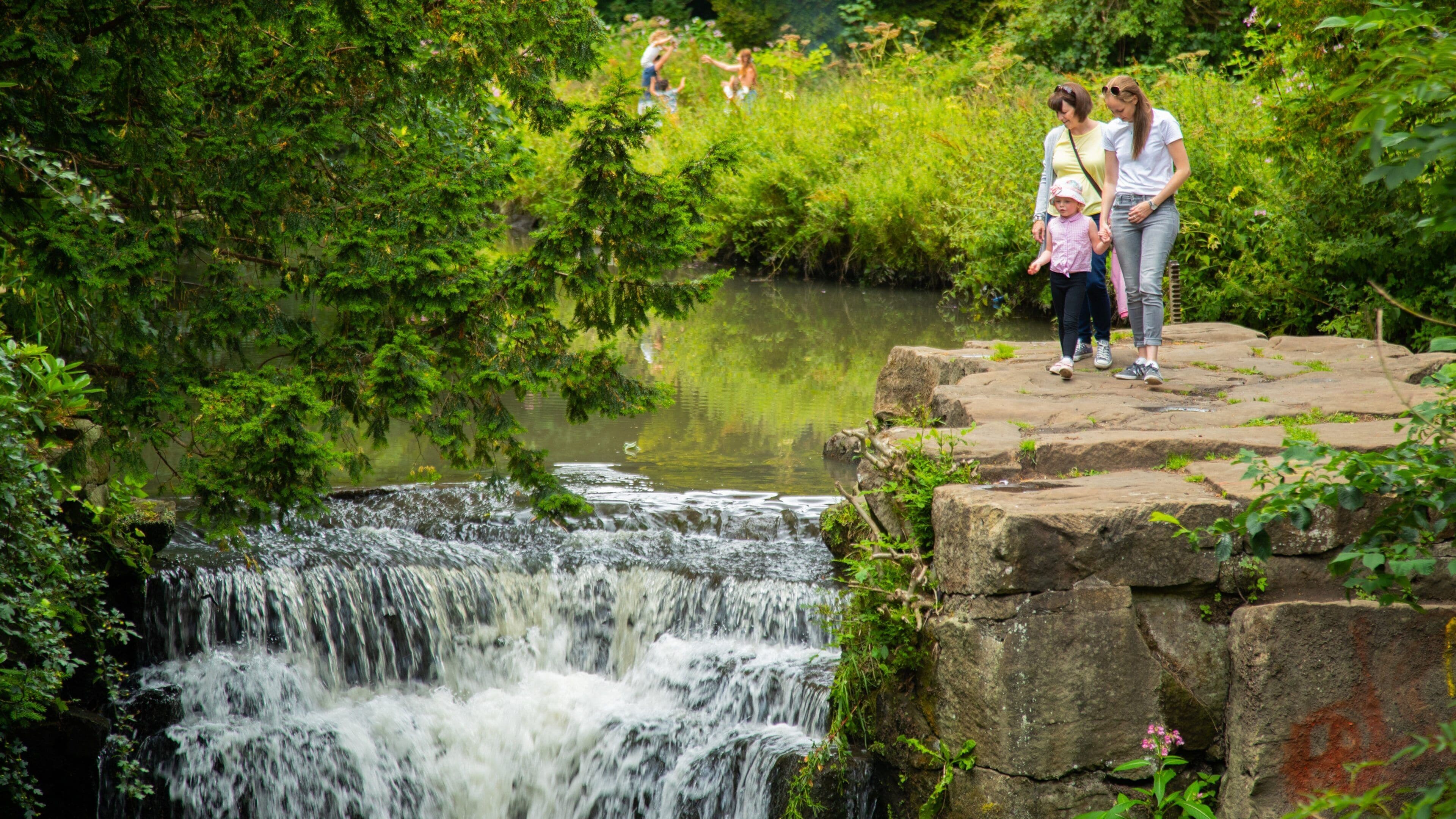 Jesmond Dene Park which includes a river or creek as well as a family