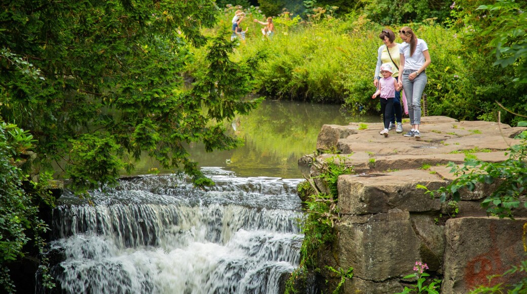 Jesmond Dene Park which includes a river or creek as well as a family