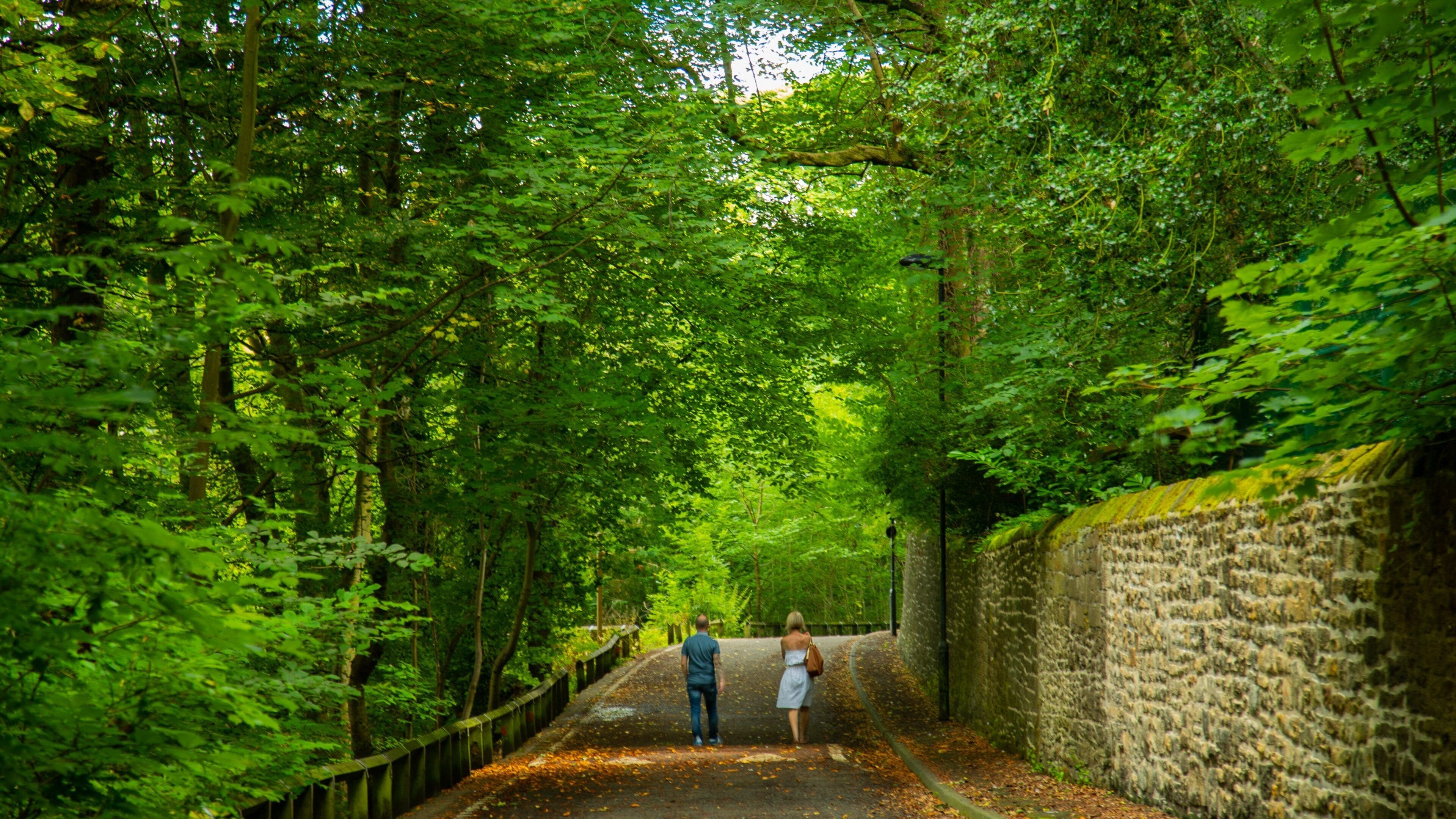 Jesmond Dene Park showing forest scenes and a garden as well as a couple