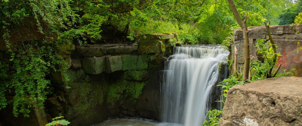 Jesmond Dene Park featuring a waterfall