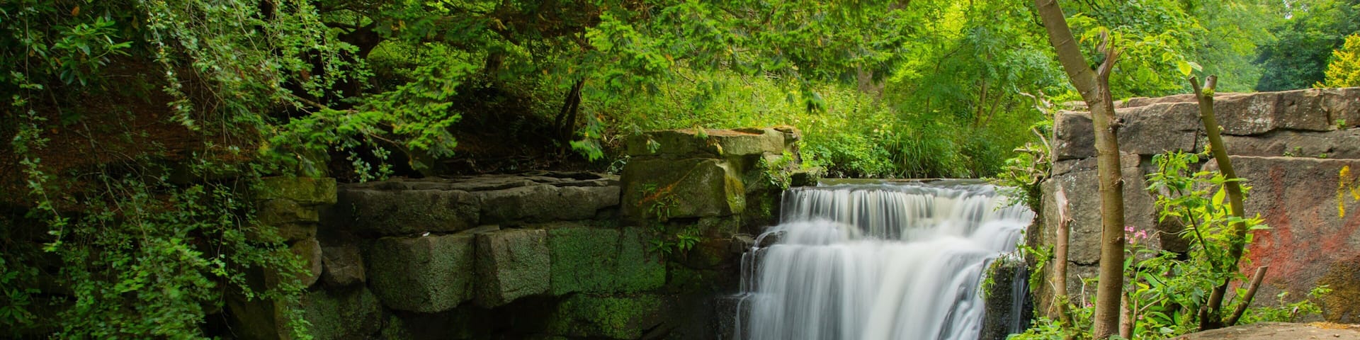 Jesmond Dene Park featuring a waterfall