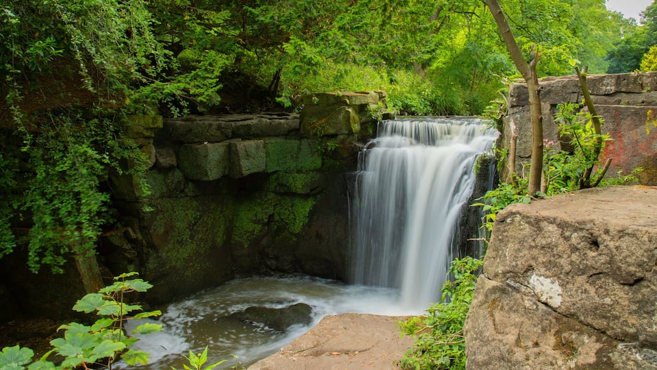 Jesmond Dene Park featuring a waterfall
