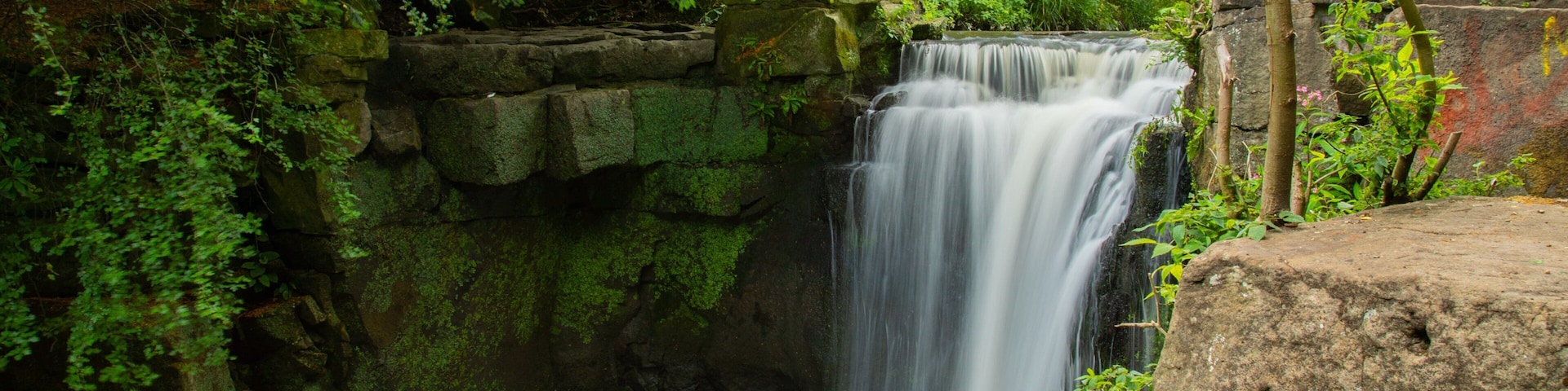 Jesmond Dene Park featuring a waterfall